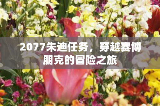 2077朱迪任务，穿越赛博朋克的冒险之旅