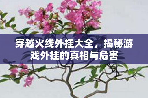 穿越火线外挂大全,揭秘游戏外挂的真相与危害 穿越火线外挂大全,揭秘游戏外挂的真相与危害