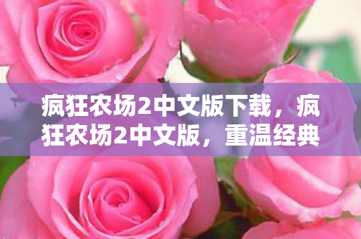 疯狂农场2中文版下载，疯狂农场2中文版，重温经典，再续传奇