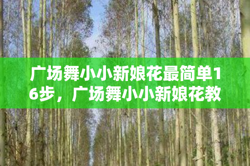 广场舞小小新娘花最简单16步,广场舞小小新娘花教学指南 广场舞小小新娘花最简单16步,广场舞小小新娘花教学指南