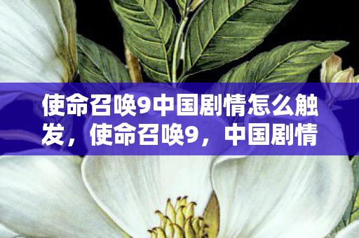 使命召唤9中国剧情怎么触发，使命召唤9，中国剧情的深度剖析