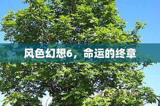 风色幻想6，命运的终章