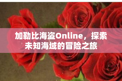 加勒比海盗Online，探索未知海域的冒险之旅