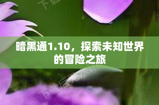 暗黑通1.10，探索未知世界的冒险之旅