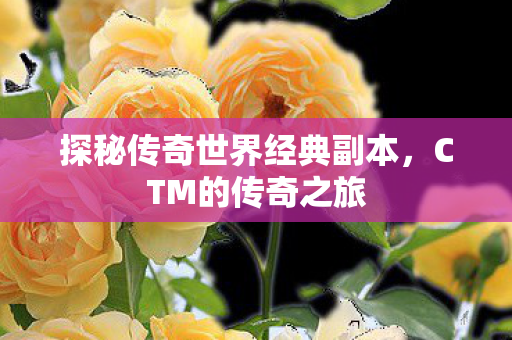 探秘传奇世界经典副本，CTM的传奇之旅
