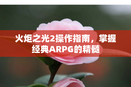 火炬之光2操作指南，掌握经典ARPG的精髓