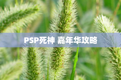 PSP死神 嘉年华攻略