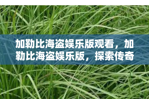 加勒比海盗娱乐版观看，加勒比海盗娱乐版，探索传奇与冒险的海洋