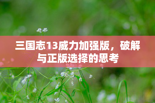三国志13威力加强版,破解与正版选择的思考 三国志13威力加强版,破解与正版选择的思考