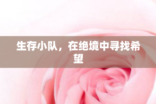 生存小队,在绝境中寻找希望 生存小队,在绝境中寻找希望