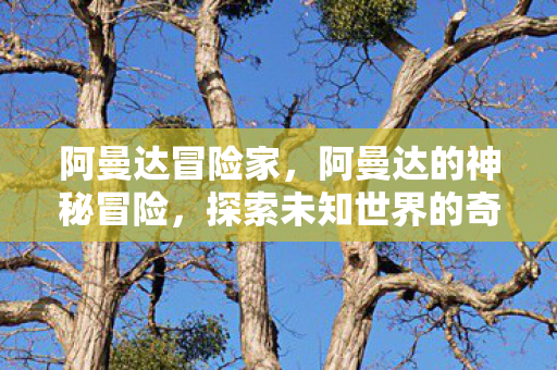 阿曼达冒险家,阿曼达的神秘冒险,探索未知世界的奇妙旅程 阿曼达冒险家,阿曼达的神秘冒险,探索未知世界的奇妙旅程
