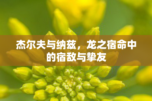 杰尔夫与纳兹，龙之宿命中的宿敌与挚友