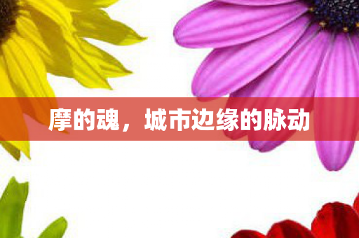 摩的魂，城市边缘的脉动