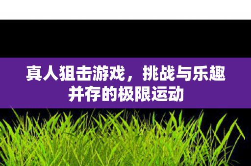 真人狙击游戏，挑战与乐趣并存的极限运动