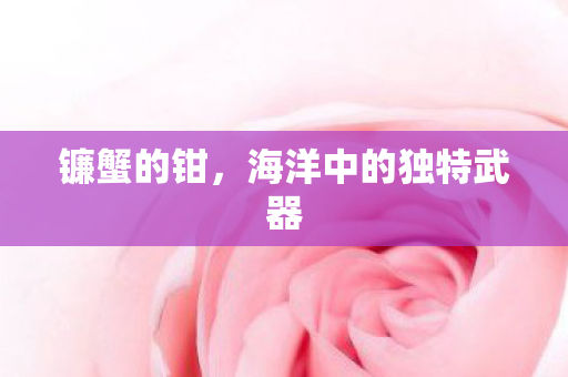 镰蟹的钳，海洋中的独特武器