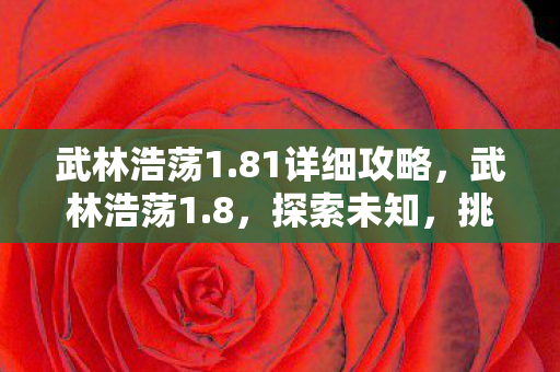 武林浩荡1.81详细攻略，武林浩荡1.8，探索未知，挑战极限