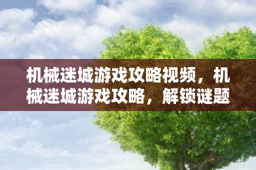 机械迷城游戏攻略视频，机械迷城游戏攻略，解锁谜题，探索机械世界的奥秘