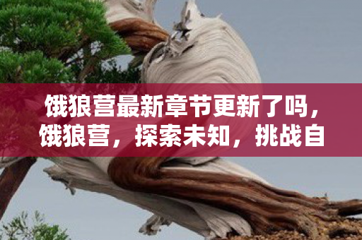 饿狼营最新章节更新了吗，饿狼营，探索未知，挑战自我