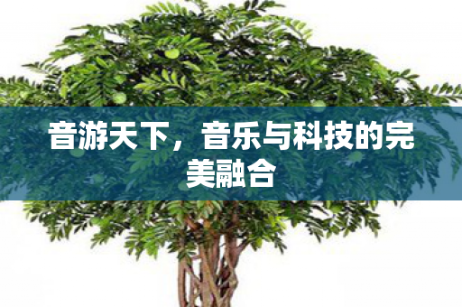 音游天下，音乐与科技的完美融合