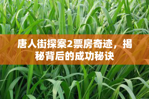 唐人街探案2票房奇迹，揭秘背后的成功秘诀