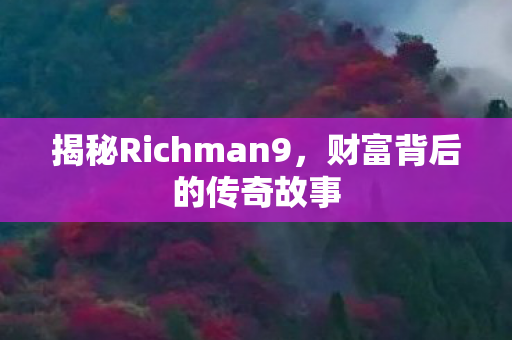 揭秘Richman9，财富背后的传奇故事