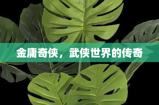金庸奇侠，武侠世界的传奇
