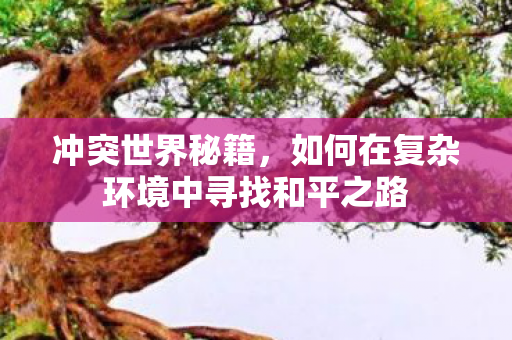 冲突世界秘籍，如何在复杂环境中寻找和平之路