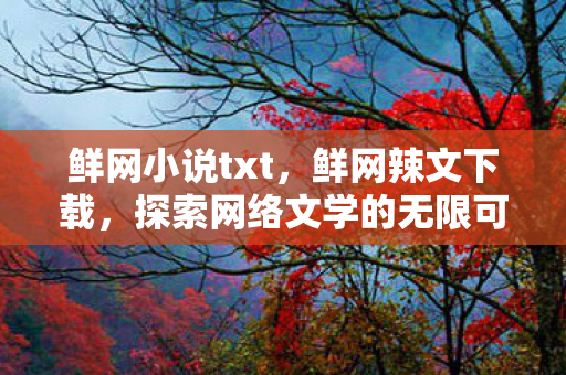 鲜网小说txt，鲜网辣文下载，探索网络文学的无限可能