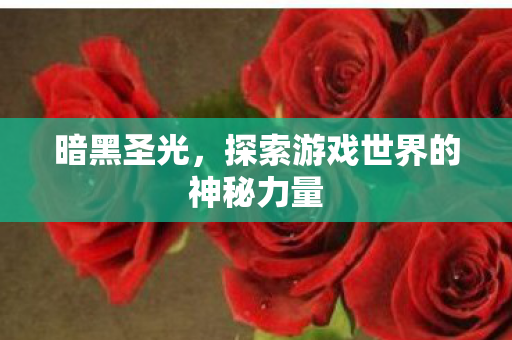 暗黑圣光，探索游戏世界的神秘力量