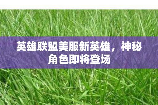 英雄联盟美服新英雄，神秘角色即将登场