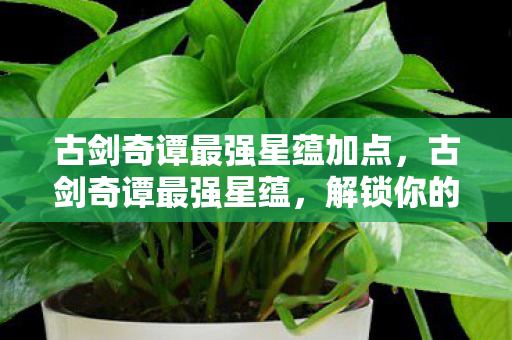 古剑奇谭最强星蕴加点，古剑奇谭最强星蕴，解锁你的角色潜能