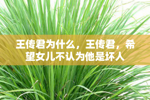 王传君为什么，王传君，希望女儿不认为他是坏人