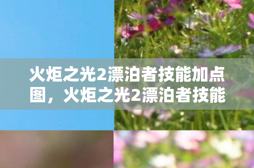 火炬之光2漂泊者技能加点图，火炬之光2漂泊者技能加点指南