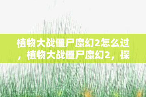 植物大战僵尸魔幻2怎么过，植物大战僵尸魔幻2，探索未知世界的奇妙之旅