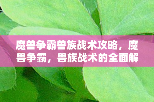 魔兽争霸兽族战术攻略，魔兽争霸，兽族战术的全面解析