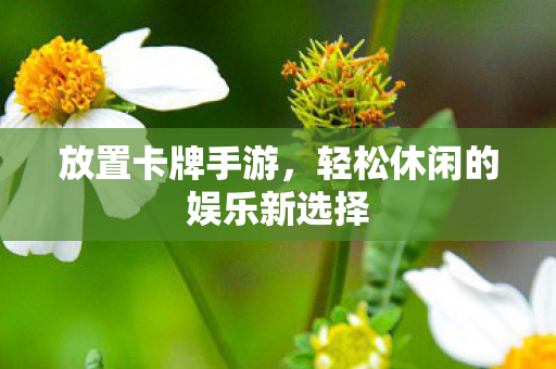 放置卡牌手游，轻松休闲的娱乐新选择