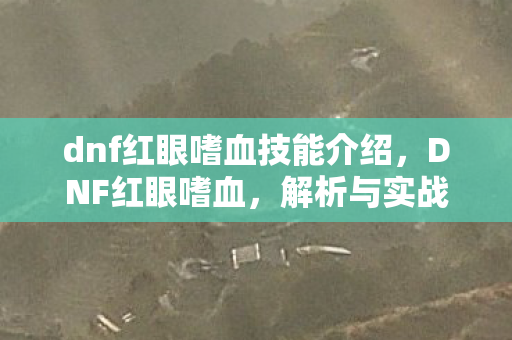 dnf红眼嗜血技能介绍，DNF红眼嗜血，解析与实战技巧