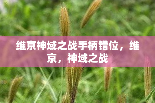 维京神域之战手柄错位，维京，神域之战