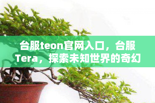 台服teon官网入口，台服Tera，探索未知世界的奇幻之旅