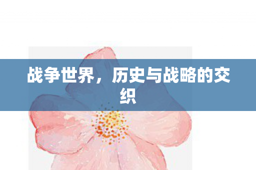 战争世界,历史与战略的交织 战争世界,历史与战略的交织