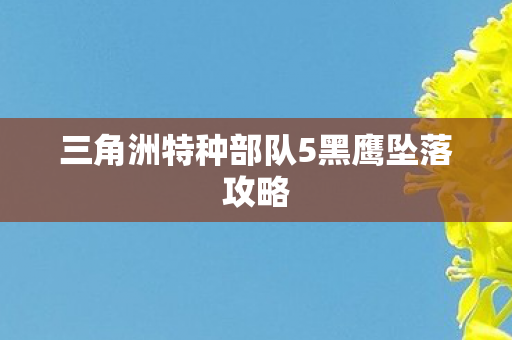 三角洲特种部队5黑鹰坠落攻略