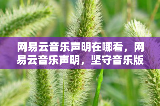 网易云音乐声明在哪看，网易云音乐声明，坚守音乐版权，维护用户权益