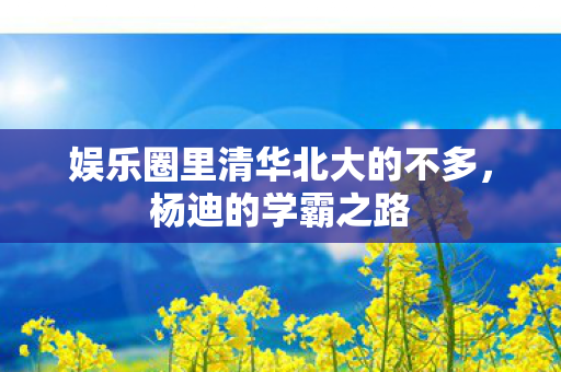 娱乐圈里清华北大的不多，杨迪的学霸之路