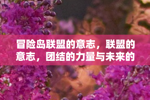 冒险岛联盟的意志，联盟的意志，团结的力量与未来的展望