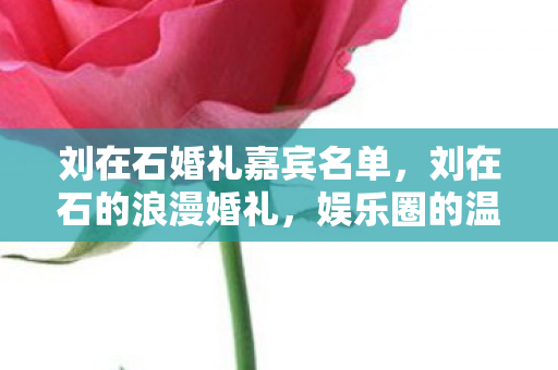 刘在石婚礼嘉宾名单,刘在石的浪漫婚礼,娱乐圈的温馨时刻 刘在石婚礼嘉宾名单,刘在石的浪漫婚礼,娱乐圈的温馨时刻