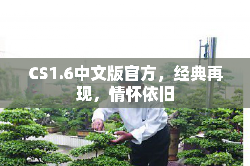 CS1.6中文版官方，经典再现，情怀依旧