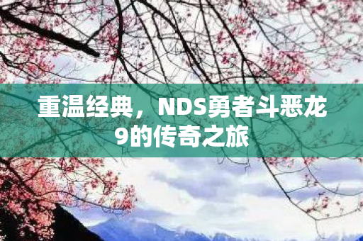 重温经典，NDS勇者斗恶龙9的传奇之旅