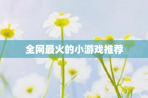 全网最火的小游戏推荐