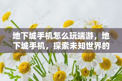 地下城手机怎么玩端游，地下城手机，探索未知世界的奇幻之旅