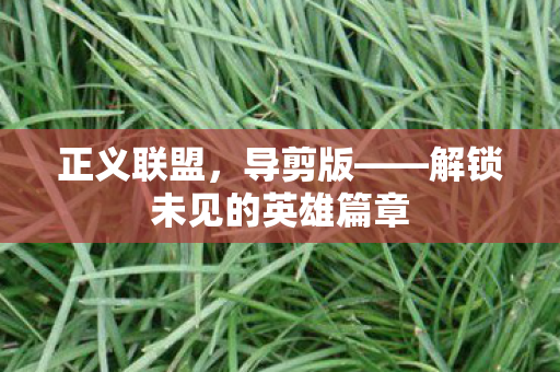 正义联盟，导剪版——解锁未见的英雄篇章